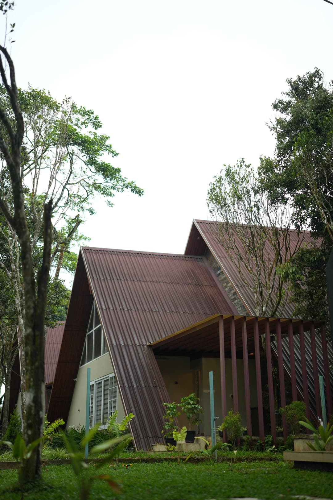 Gallery image 8